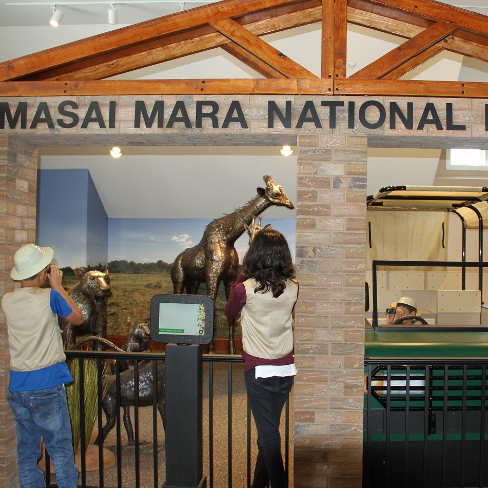 masai masai